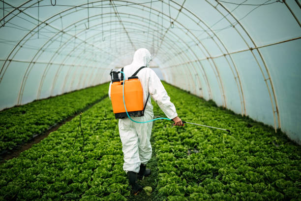 Best Pest Inspection Near Me  in Kings Park, NY