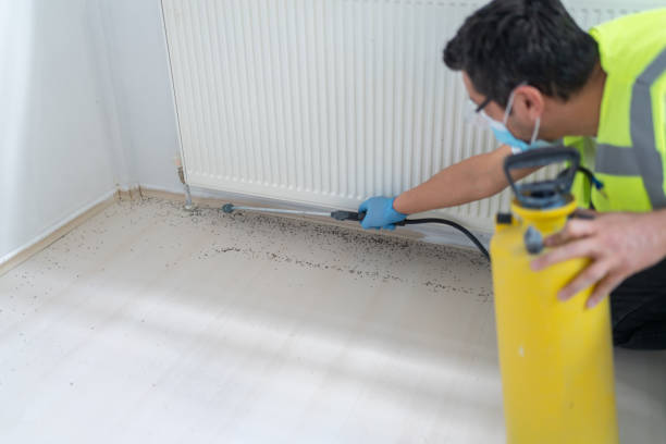 Best Pest Prevention Services  in Kings Park, NY
